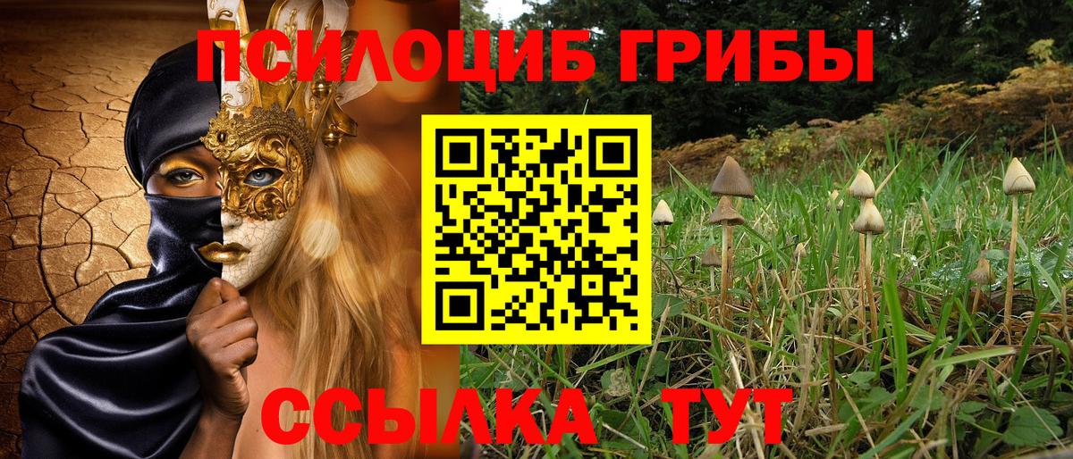 Галлюциногенные грибы Psilocybe Сергиев Посад