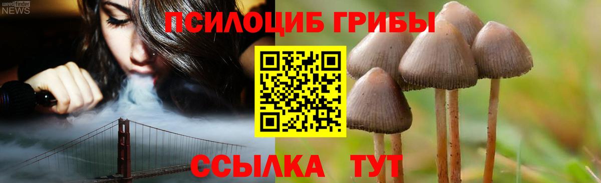 Псилоцибиновые грибы GOLDEN TEACHER  Вход с VPN  Сергиев Посад 